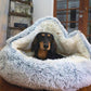 🎀 50 % RABATT 🐾 CozyHive Premium Haustierbett, gemütliches Schlafplatz für Katzen und Hunde 🛌