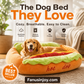 🔥50% RABATT für begrenzte Zeit! 🐱🐶 Der Liebling deiner Fellnasen! 🌭Witziges Hotdog-Haustierbett – Gemütliches Wärmenest für Hunde und Katzen
