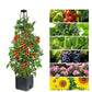 ⏳Limitiertes 50 % Rabatt⏰Selbstbewässerndes Tomaten-Pflanzset mit Kletterpflanzenhalter🍅🪴
