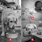 Anti-Schling-Napf für Hunde mit rollendem Ball