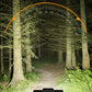 💡Maximale Sichtbarkeit & Sicherheit: Wiederaufladbares LED-Lichtset mit Fernbedienung 🛡️