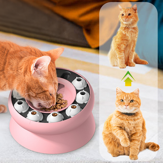Puzzle-Futterschale für Katzen