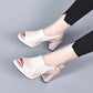 👡 50% RABATT! ✨ Stilvolle & bequeme hochhackige Ledersandalen für Frauen – Verstellbare Riemen & gepolsterte Sohle – Perfekt für Partys, Büro oder elegante Sommerabende – Look und Komfort in einem 🌸
