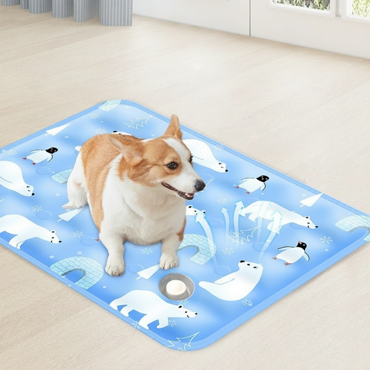 ❄️ Kühlmatte für Haustiere – nachfüllbare Kühlung mit Gel oder Wasser, atmungsaktiv & langlebig, ideal für Hunde & Katzen im Sommer 🐾