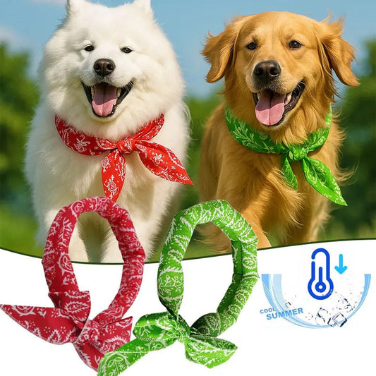 🎂 Kühlender Sommer-Schal für Hunde & Katzen – niedliches Cartoon-Design, als Geburtstags-Accessoire & praktische Kühlhilfe an heißen Tagen 🐾❄️