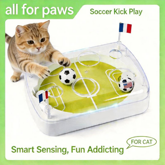 ⏰ 50 % RABATT – Nur für kurze Zeit ✨⚽ 2026 Katzen-Fußballspielzeug – im offiziellen Turnier-Design, interaktiv & für stundenlangen Spielspaß 🏆