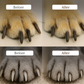 🐶 50 % Rabatt – LED-Pfotenpflege-Set – Nagelknipser & integrierte Feile, beleuchtet & sicher für Katzen & Hunde 🐾
