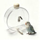🐦50% RABATT! 💧 Transparenter hängender Vogeltränker mit Kupferstift, wetterfest für Garten und Balkon💦