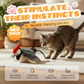 🐱 50% RABATT!⏰ Elektrisches Plüschspielzeug für Katzen mit Geräuschen, fördert Jagdinstinkt & sorgt für Spielspaß 🐦