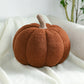 🎃50 % RABATT⏰ Niedliches weiches Kürbis‑Kissen, ideal zum Kuscheln & Dekorieren für Sofa & Schlafzimmer🛋️