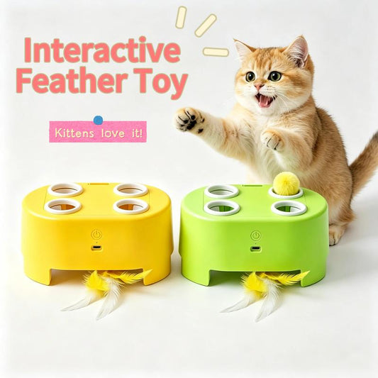 🐾 50% RABATT ✨ Interaktives Katzenspielzeug – Pop-up & rotierendes Doppelspiel, leiser Motor, bissfest, toller Jagdspaß für Katzen💫