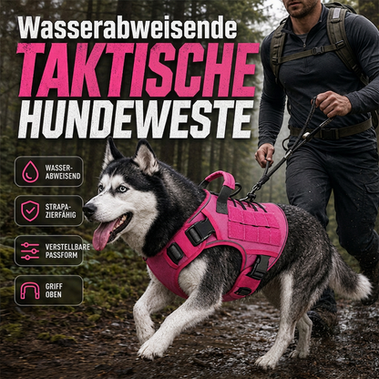 🐾 50 % Rabatt ! Taktisches Hundegeschirr – Volle Kontrolle, perfekter Sitz! 🛡️ Wasserabweisend, praktischer Griff, extrem robust 🐕