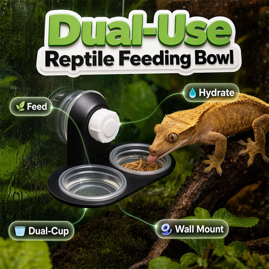🦎 50 % Rabatt !💧 Doppel-Reptilien-Futterstation mit Saugnapf und Näpfen🏡