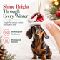 🌲50% Rabatt!🐶7 Stück Christbaumschmuck in Welpenform 🐕🎁