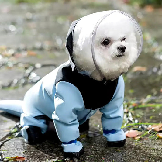 🐾 50 % RABATT 🌧️ Haustier Regenmantel, vollständiger Schutz, wasserdicht und leicht anzulegen 🦴